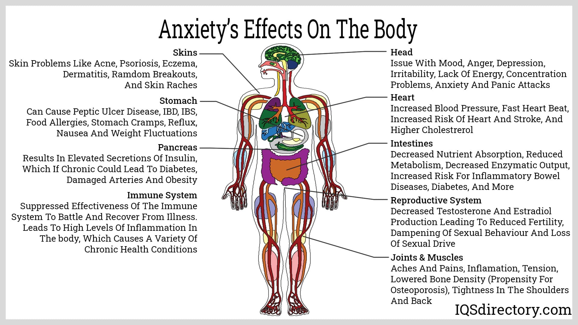Anxiety‘s Effects on the Body
