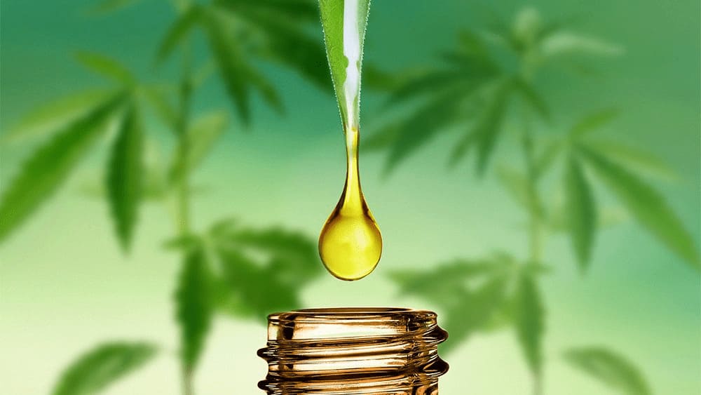 CBD Oil 4