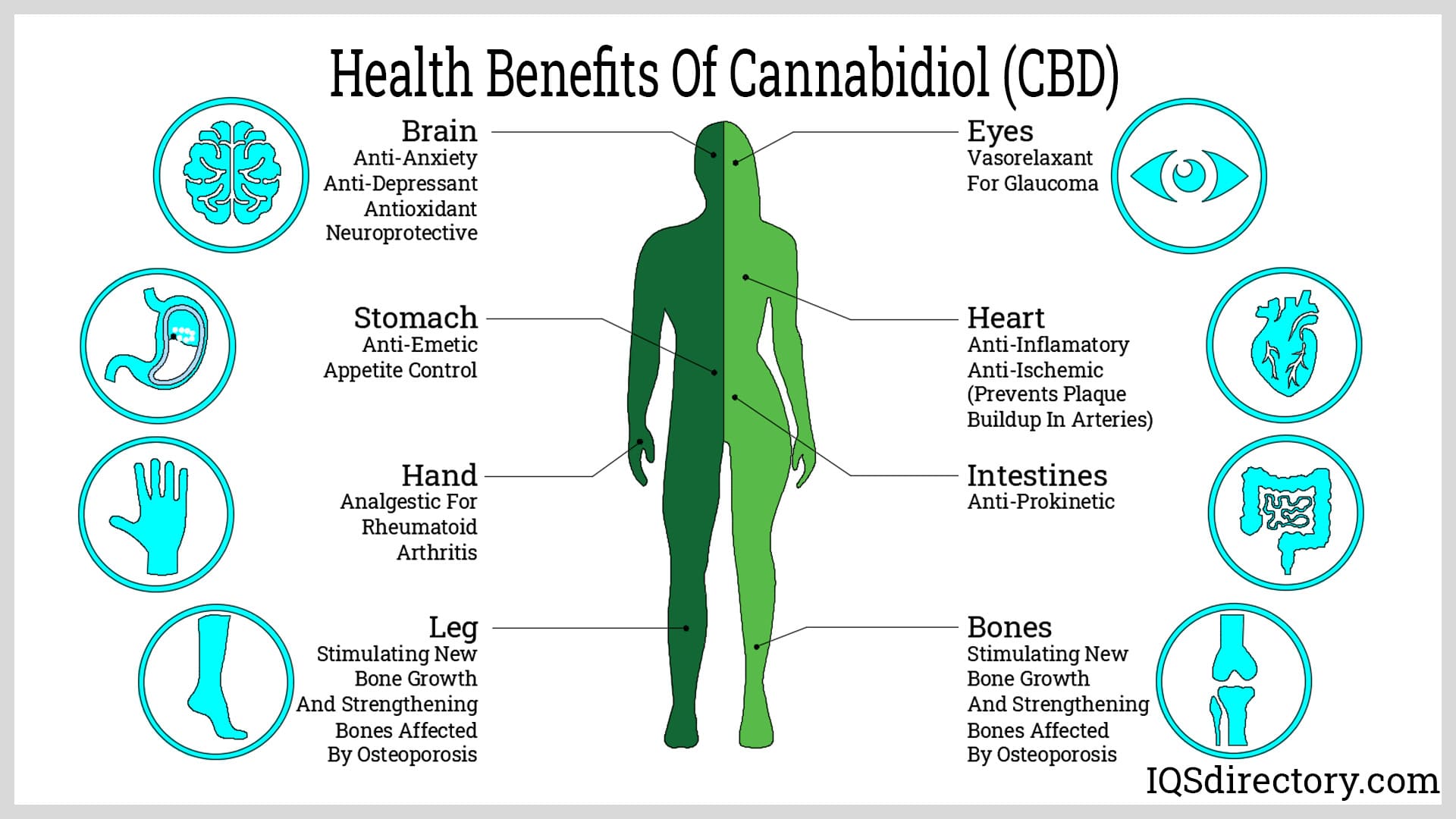 Health Benefits of Cannabidiol Oil