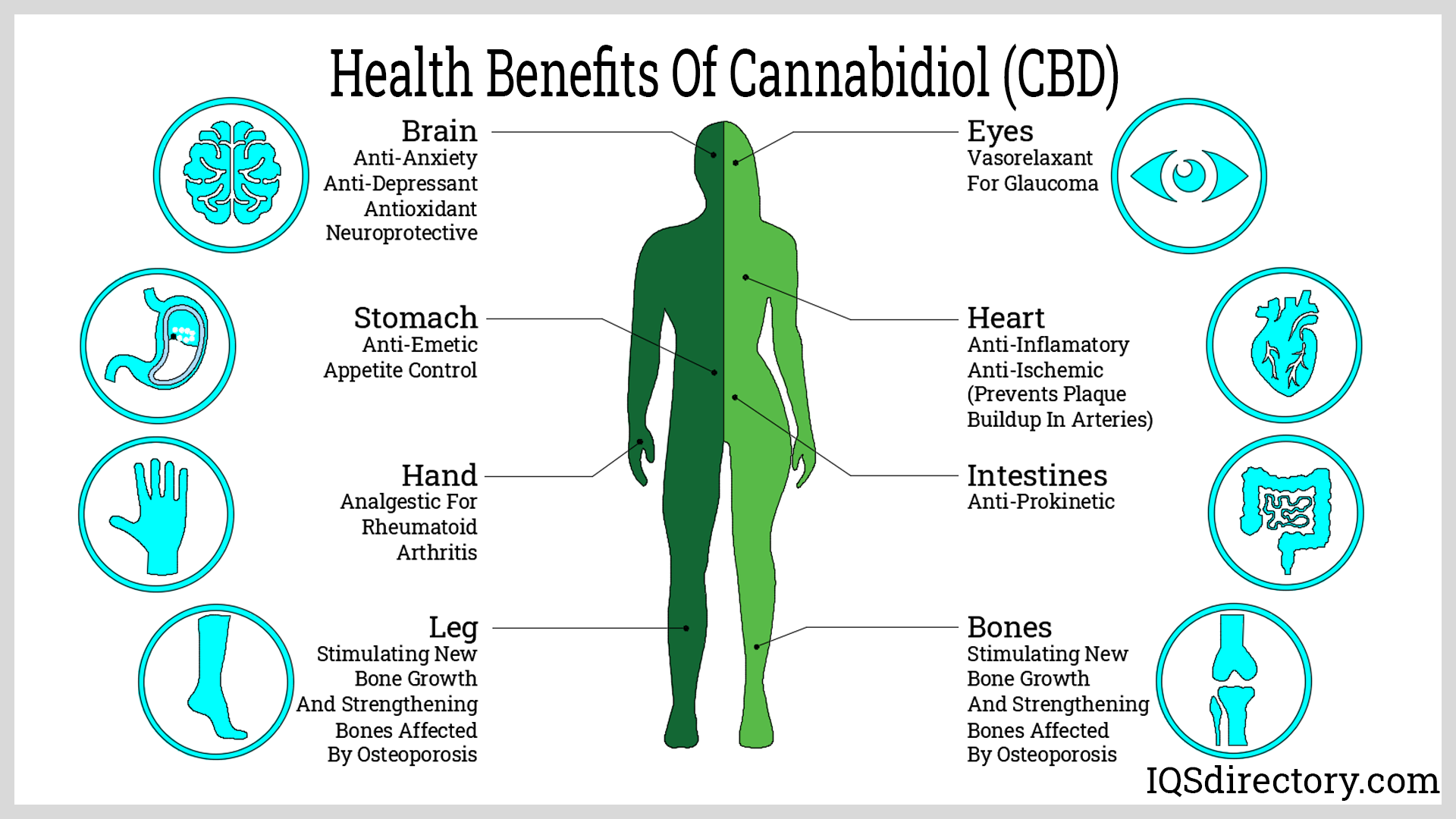 Cannabidiol: What Is It? How Is It Used? Health Benefits | Square Sparc